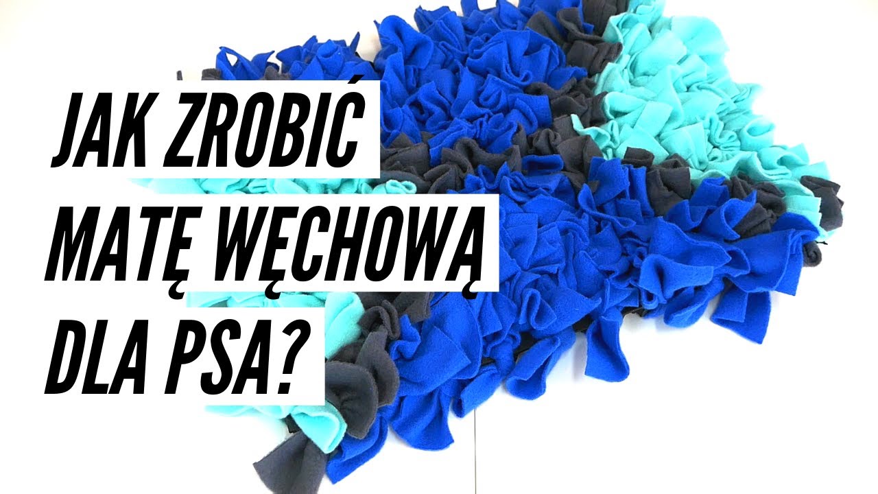 JAK ZROBIĆ MATĘ WĘCHOWĄ DLA PSA?