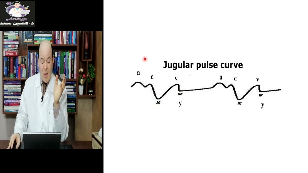 Jugular pulse curve/Lashin Saad د.لاشين