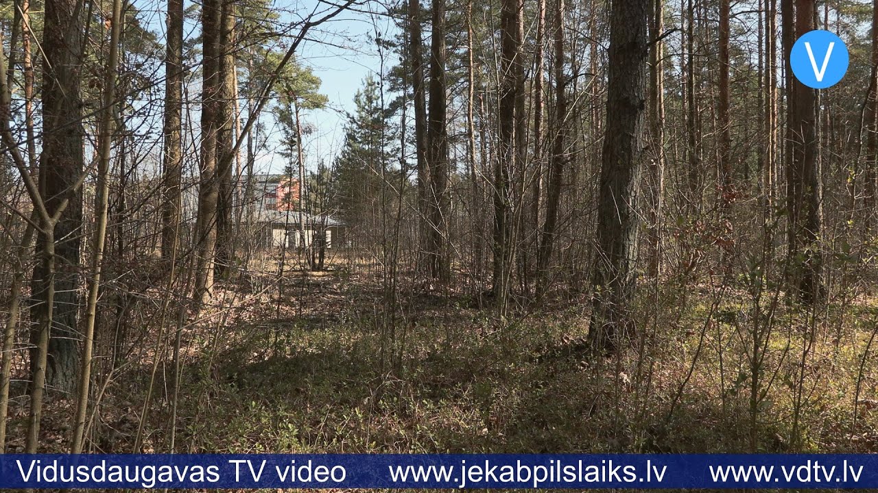 Iedzīvotāji nevēlas zaudēt meža teritoriju Jēkabpilī