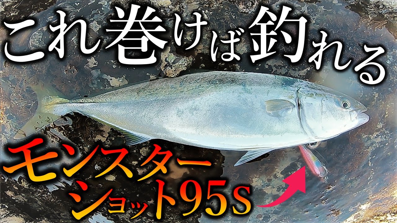 【ロックショア】このカラー強すぎ‼ただ巻きで青物連発【モンスターショット】