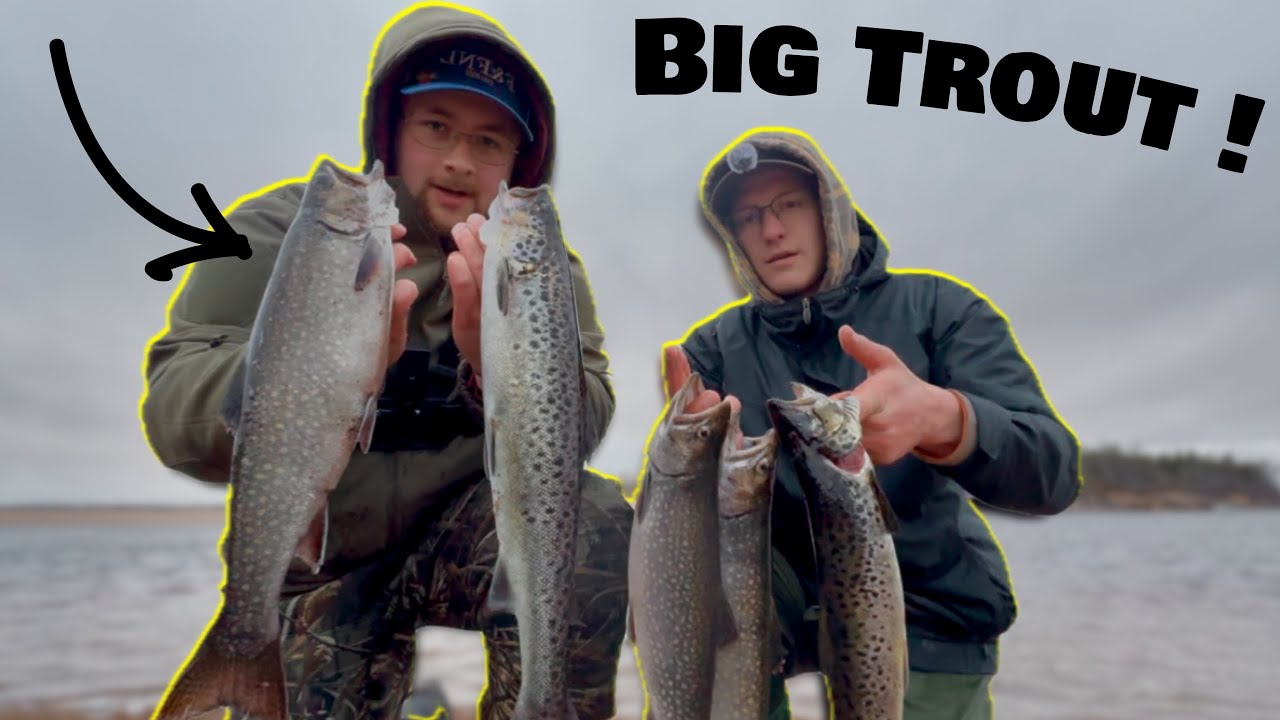 How To Catch BIG BROOK TROUT in Newfoundland ! ( Fish After Fish Success ! )