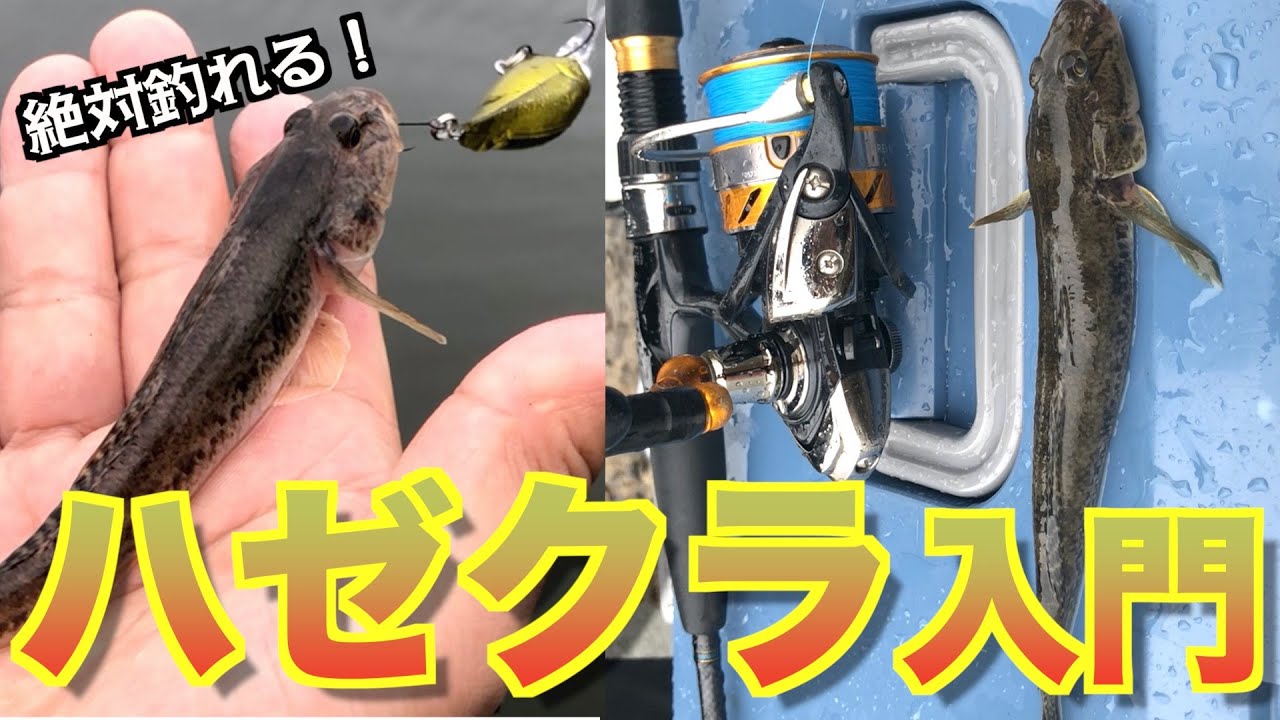 【ハゼクラ入門】ハゼクラで デカハゼを狙え！誰でも釣れます！！江戸川放水路