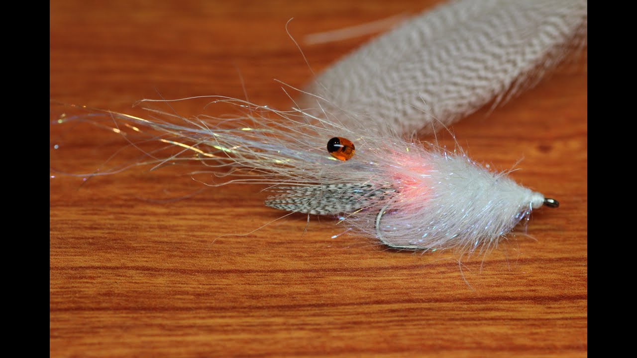 Spot shrimp (Sea trout)