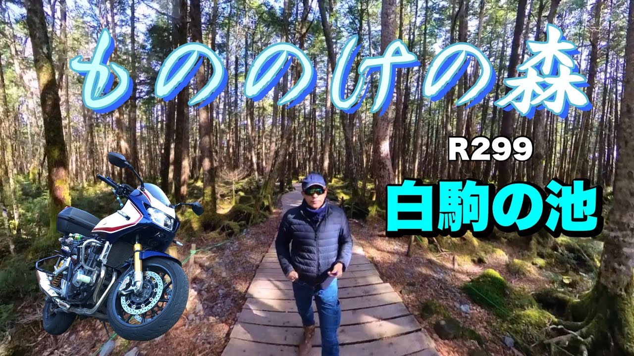 【バイク】GGのR299白駒の池 もののけの森ツーリング【CB1300スーパーボルドール】