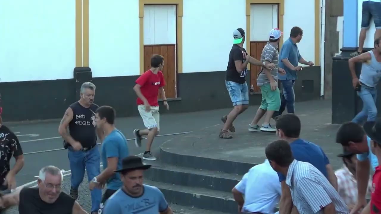 TOIRO É TOIRO