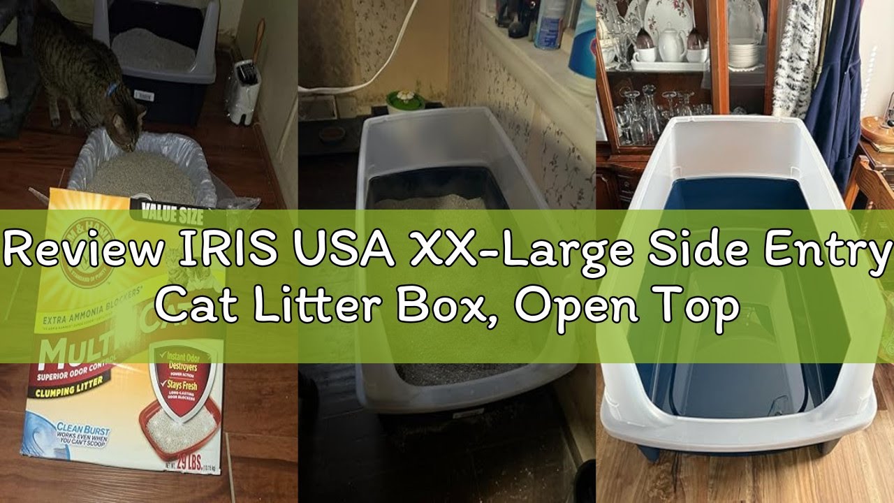 Review IRIS USA XX-Large Side Entry Cat Litter Box, Open Top Extra Large Litter Box for Big Cats and