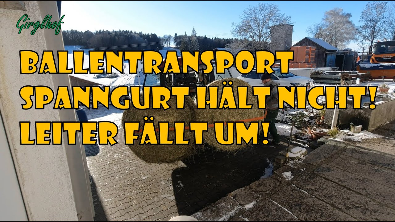 Heuballen Ausliefern, aber der Spanngurt hält nicht, Leiter fällt um!