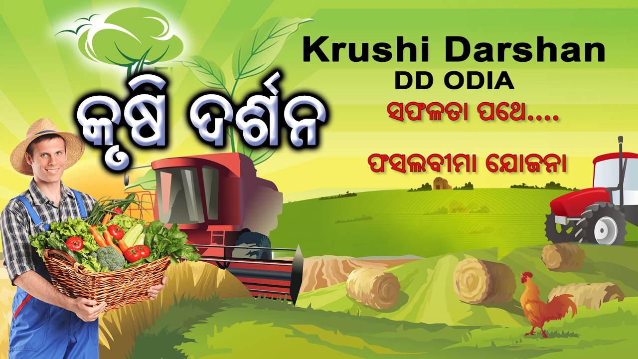 Krushi Darshan || କୃଷି ଦର୍ଶନ || ସଫଳତା ପଥେ || ଫସଲବୀମା ଯୋଜନା || ମୁଖ୍ୟମନ୍ତ୍ରୀ କାମଧେନୁ ଯୋଜନା