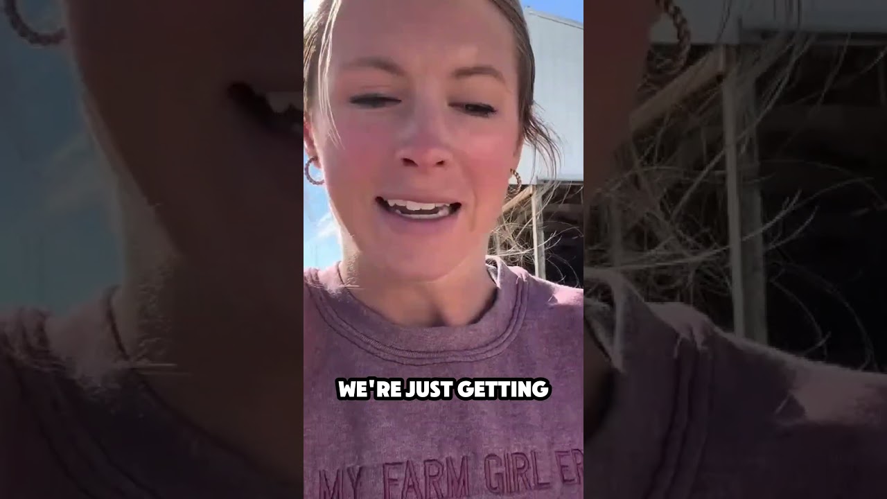 Working on getting harvest DONE! #farmgirl #farmlife #harvest