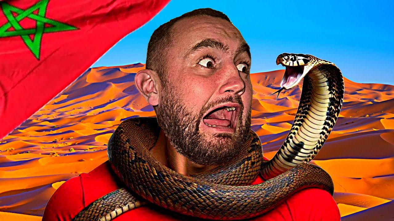 Attacked By A King Cobra In Morocco!
