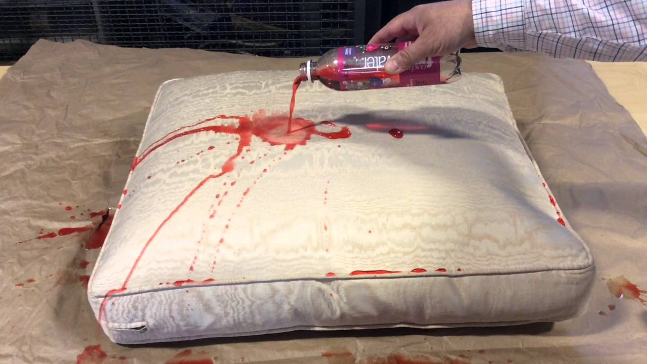 Sofa cushion treated with a fabric protector