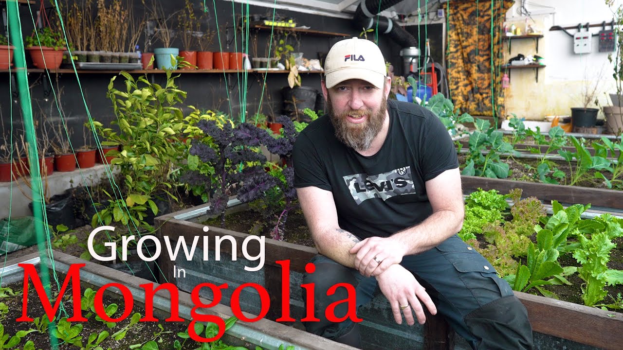 Starting the New Year with a Chili Growing Adventure: From Seeds to Sauce!