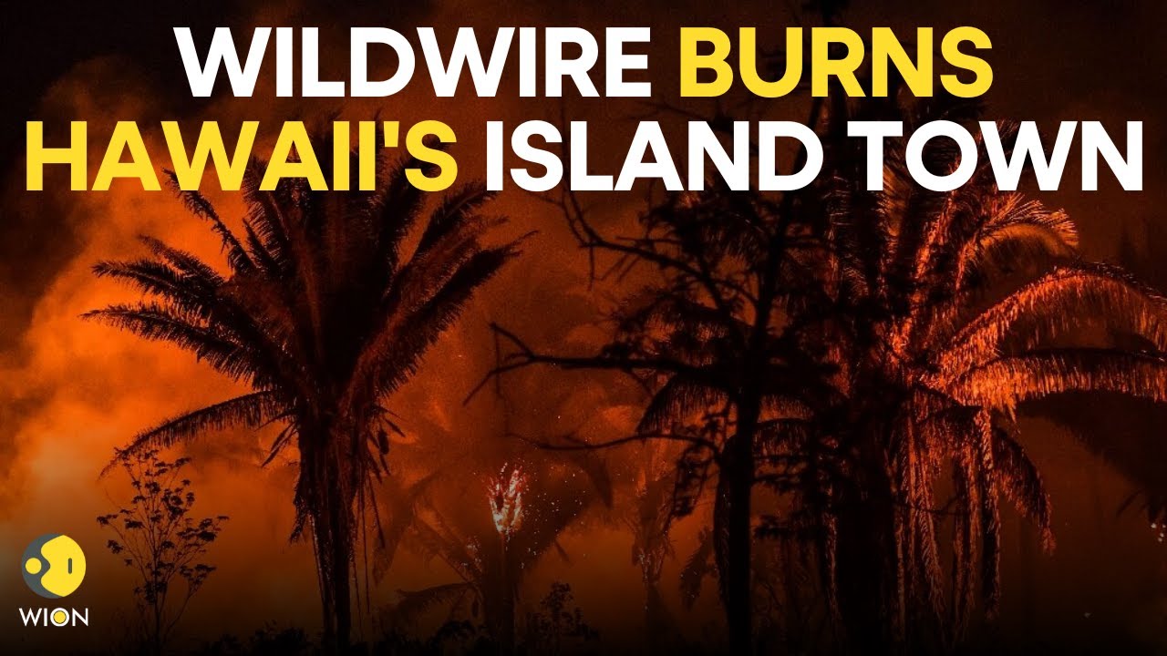 Maui Fires LIVE: Massive wildfire turns lush Hawaii into tinderbox | Hawaii Wildfire Live | WION
