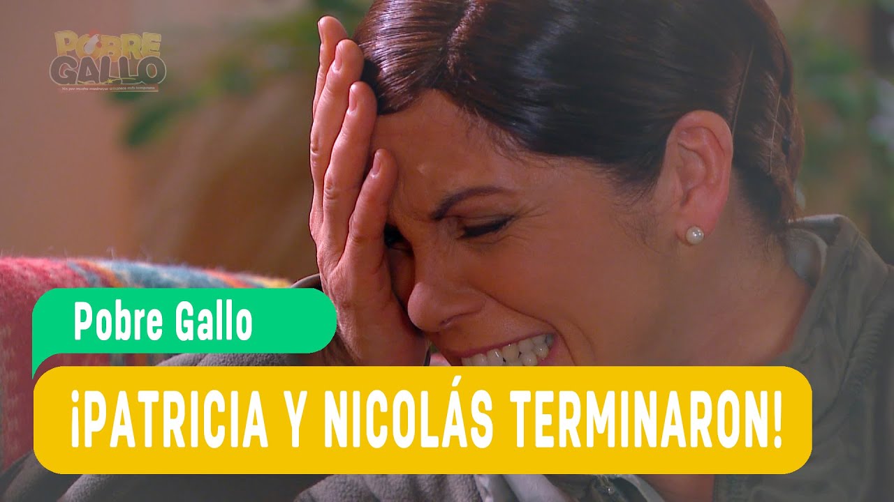 Pobre Gallo - Mejores Momentos - ¡Patricia y Nicolás terminaron! / Capítulo 151