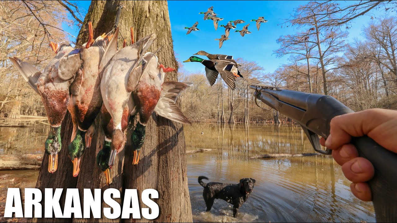 REALISTIC PUBLIC LAND DUCK HUNTING (You Won't Believe What Happened)