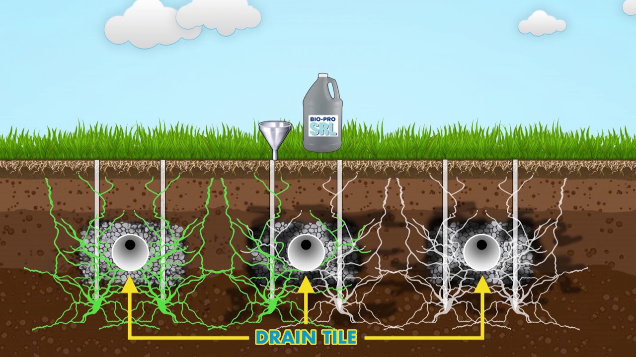 The Drainfield Kickstart Process - Phase One of Michigan Drainfield's Two-Phase Restoration Process