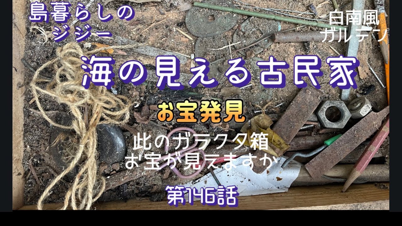 146島暮らしのジジー第146話