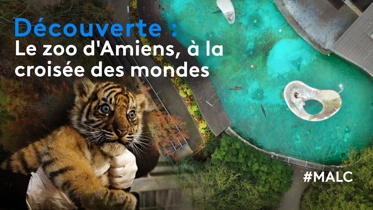 Découverte : le zoo d'Amiens, à la croisée des mondes