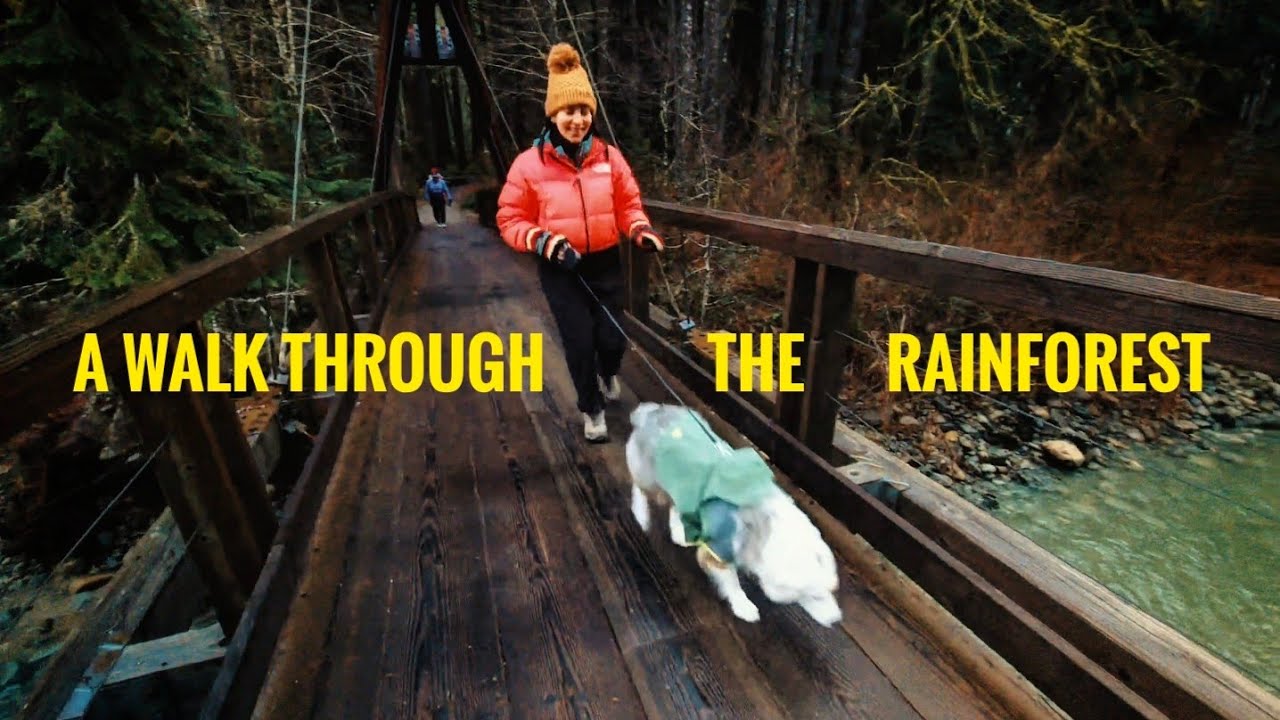 RAINFOREST WALK 