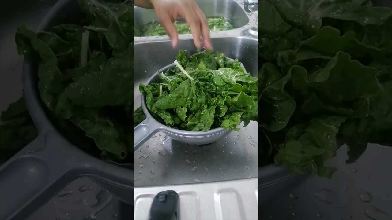 How To Freeze Spinach | Keep Spinach Fresh #foodie | TheWomenBeing Cooking! | South African YouTuber