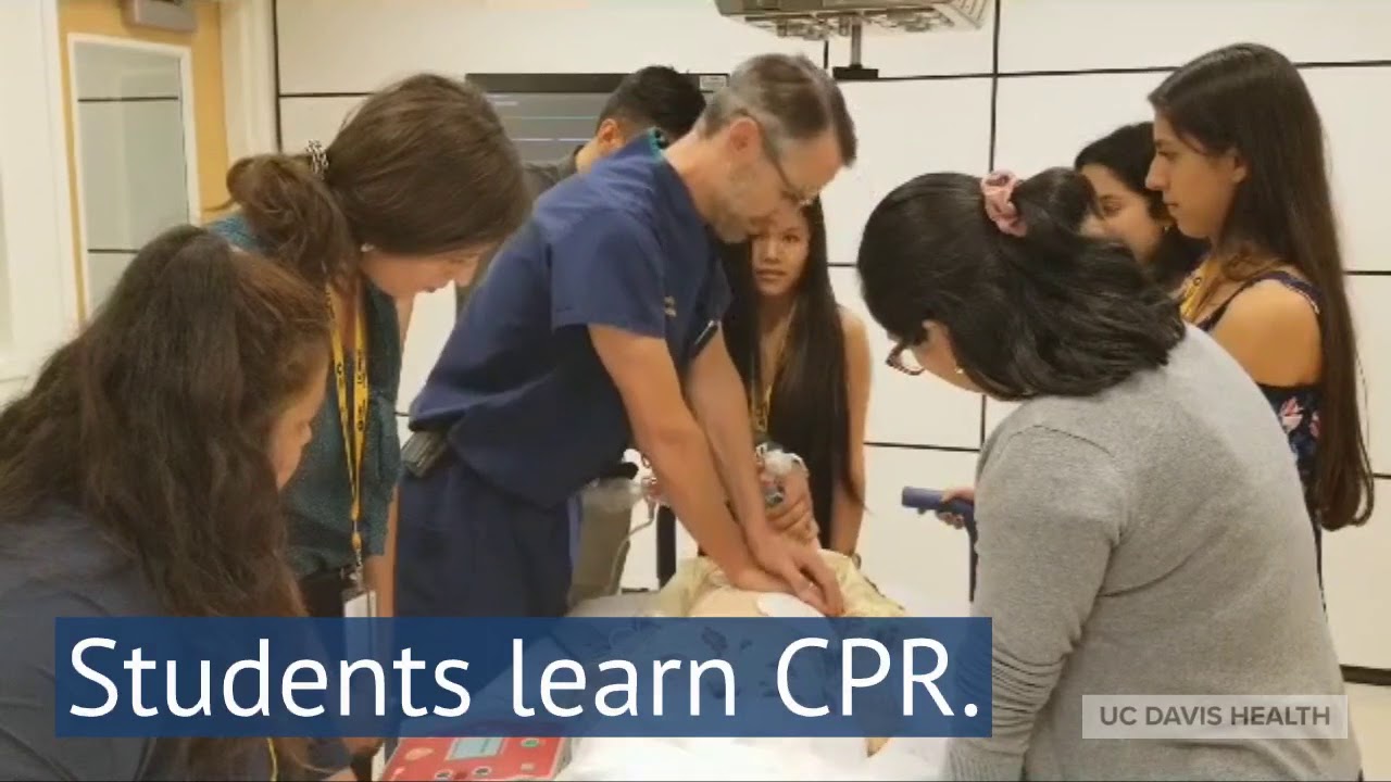 Prep Médico Program