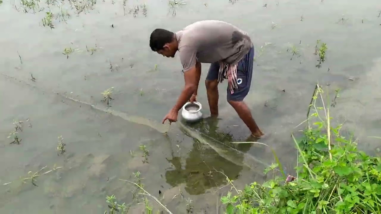  অল্প জলে জাল নিয়ে নামলাম মাছ ধরতে🐟🐟 || Nat fishing video || village fishing video ||