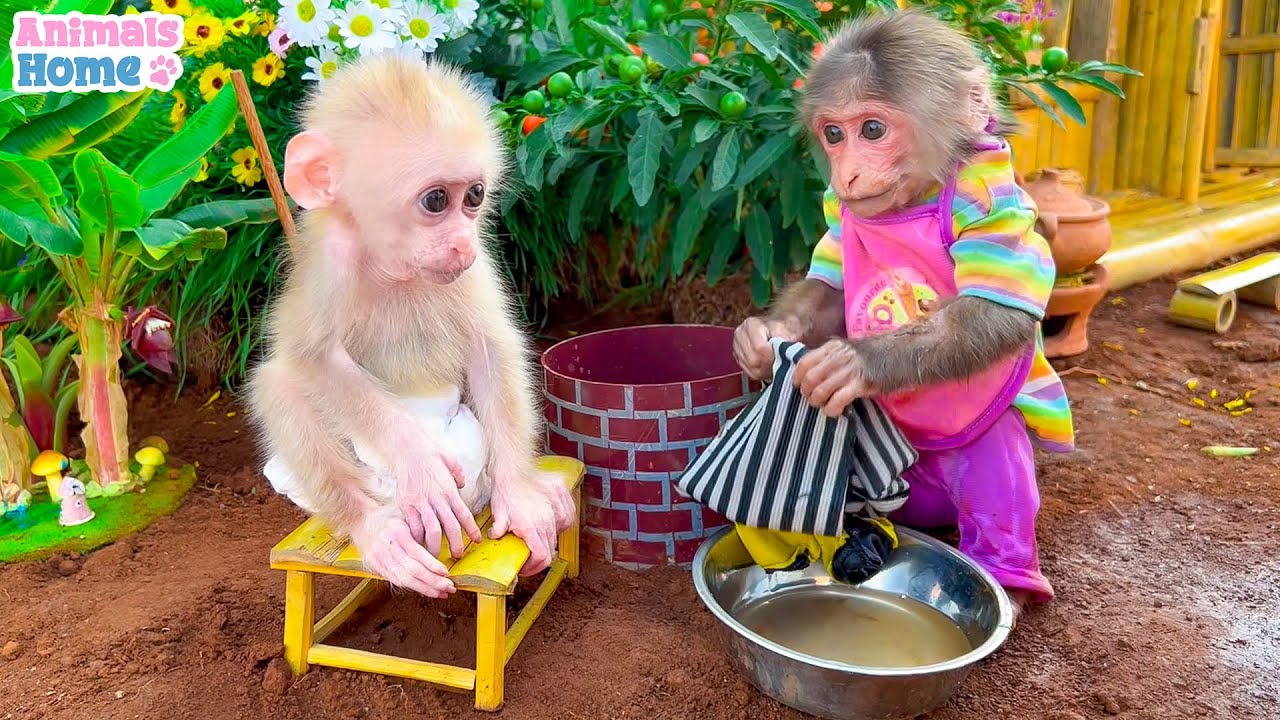 BiBi obedient helps dad with housework and takes care of Obi