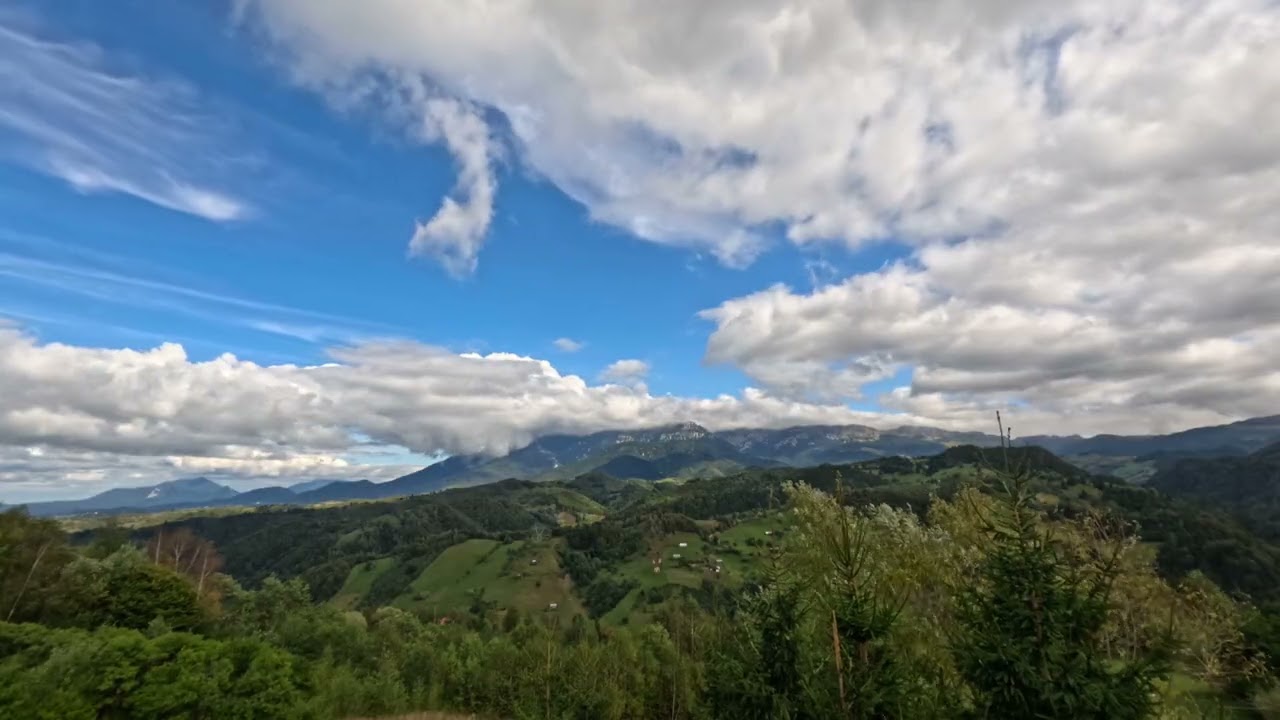 4K Nature Timelapse: Relaxation for your Soul