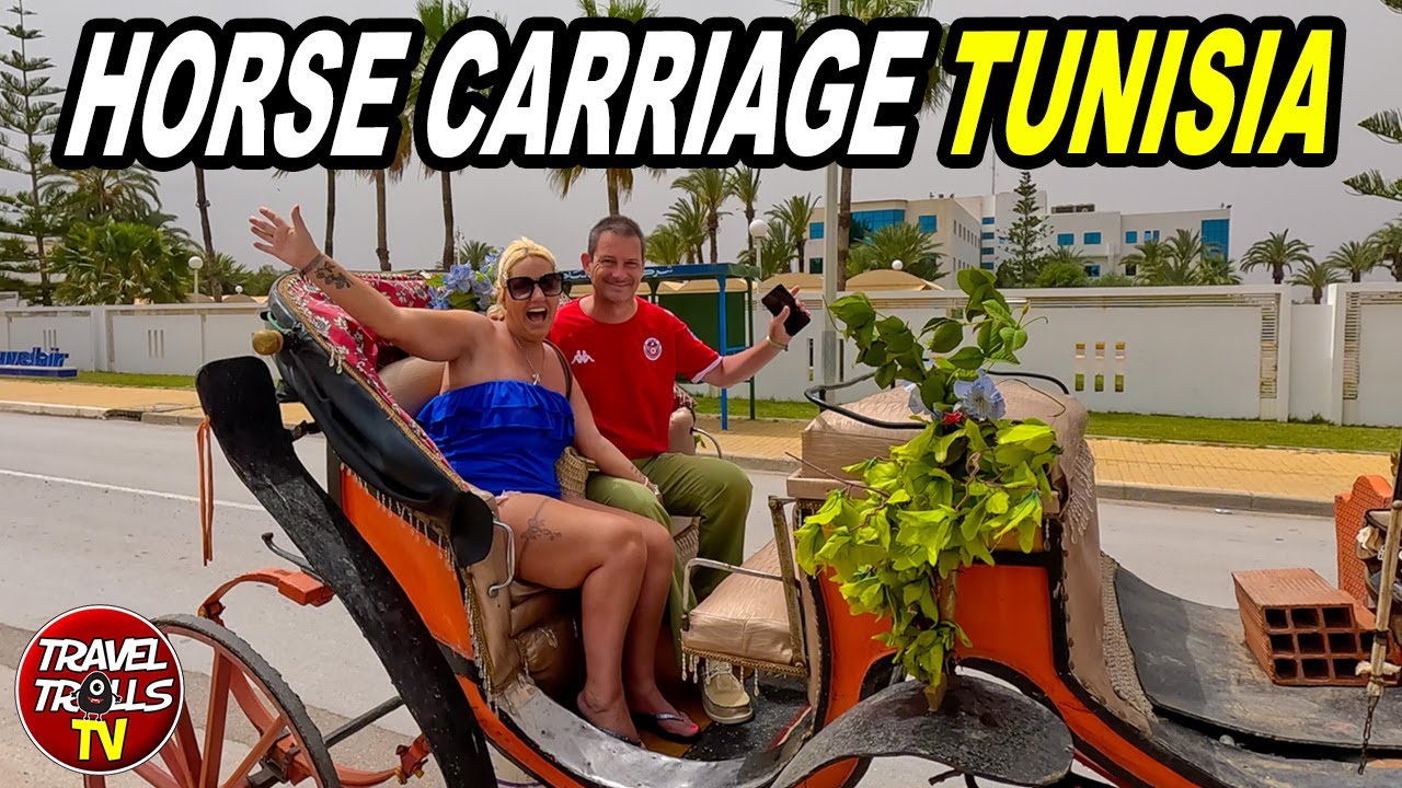 Horse & Cart Around Town: Tunisia Shopping Experience