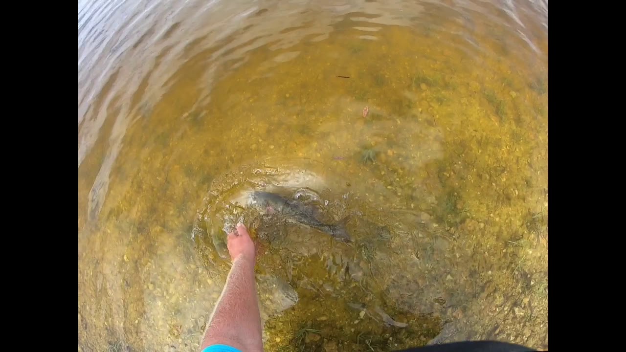 Bass Fishing, Slow Motion, Micro Lure And Pond Fishing