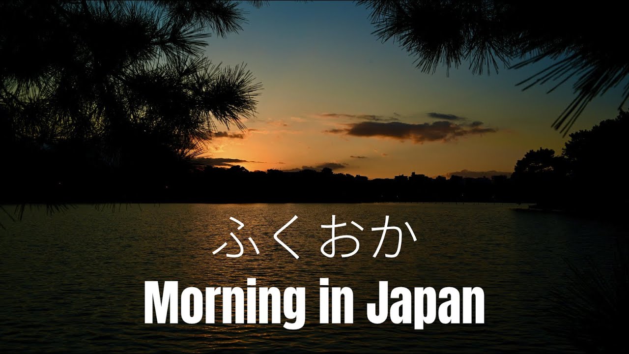 Relaxing Japanese Water Birds Sounds in the Morning