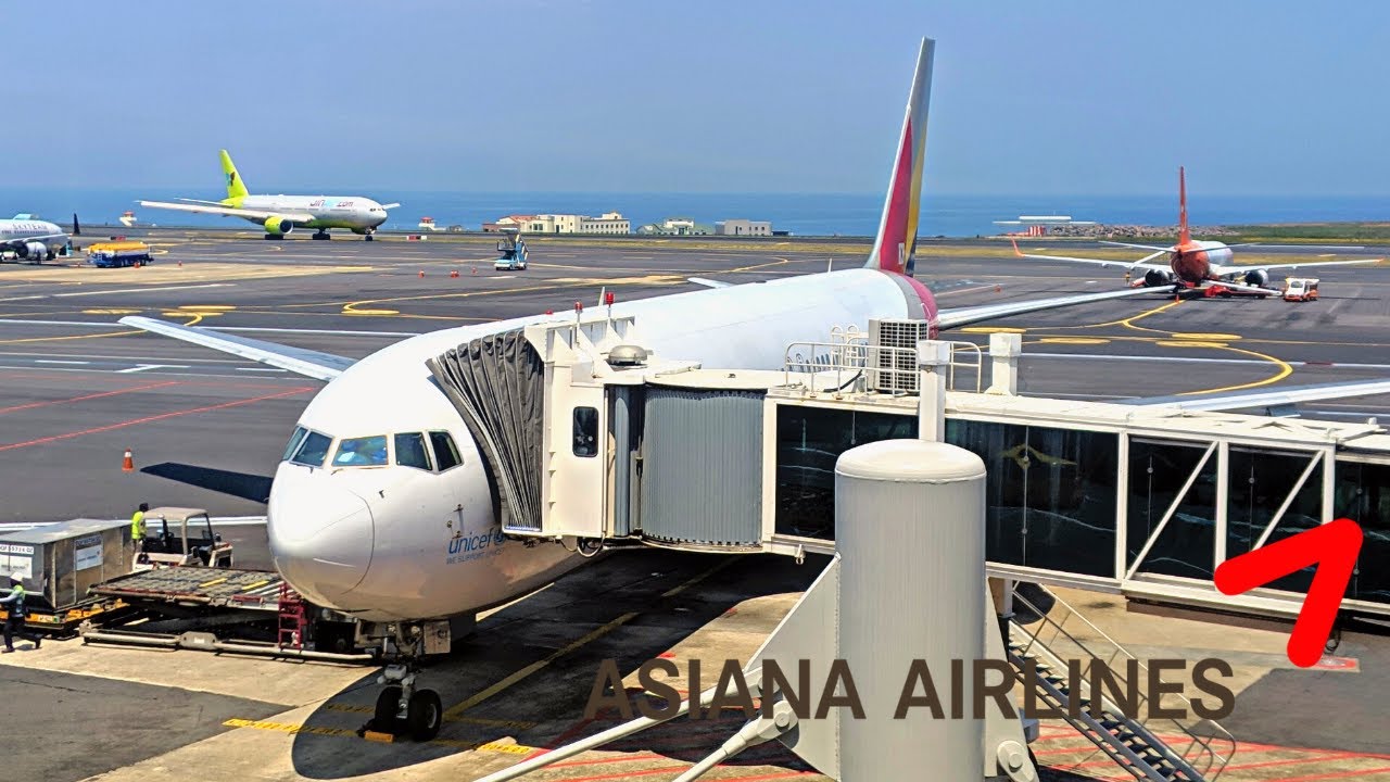 ASIANA BOEING 767-300 (ECONOMY) | Jeju - Seoul
