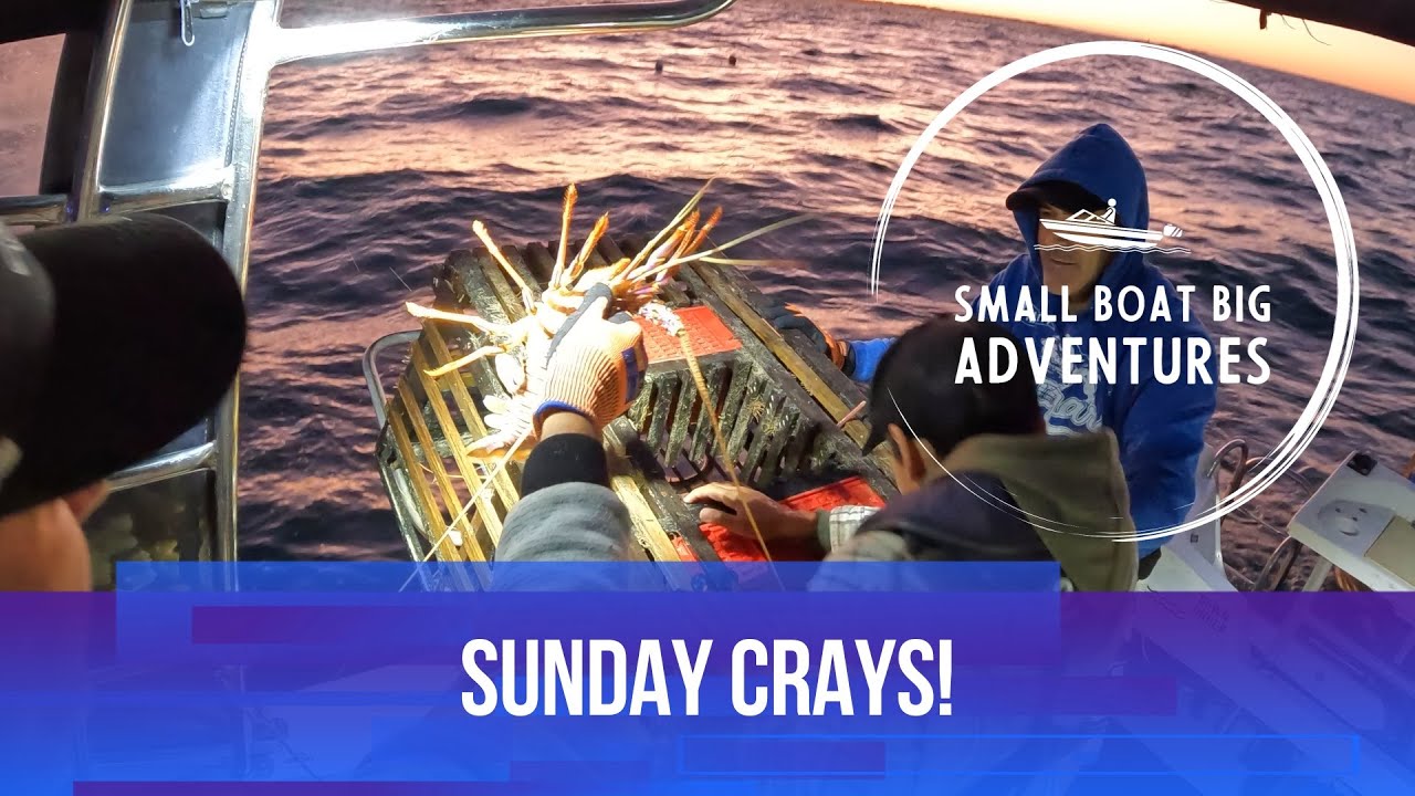 ! ! ! SUNDAY CRAYS ! ! !