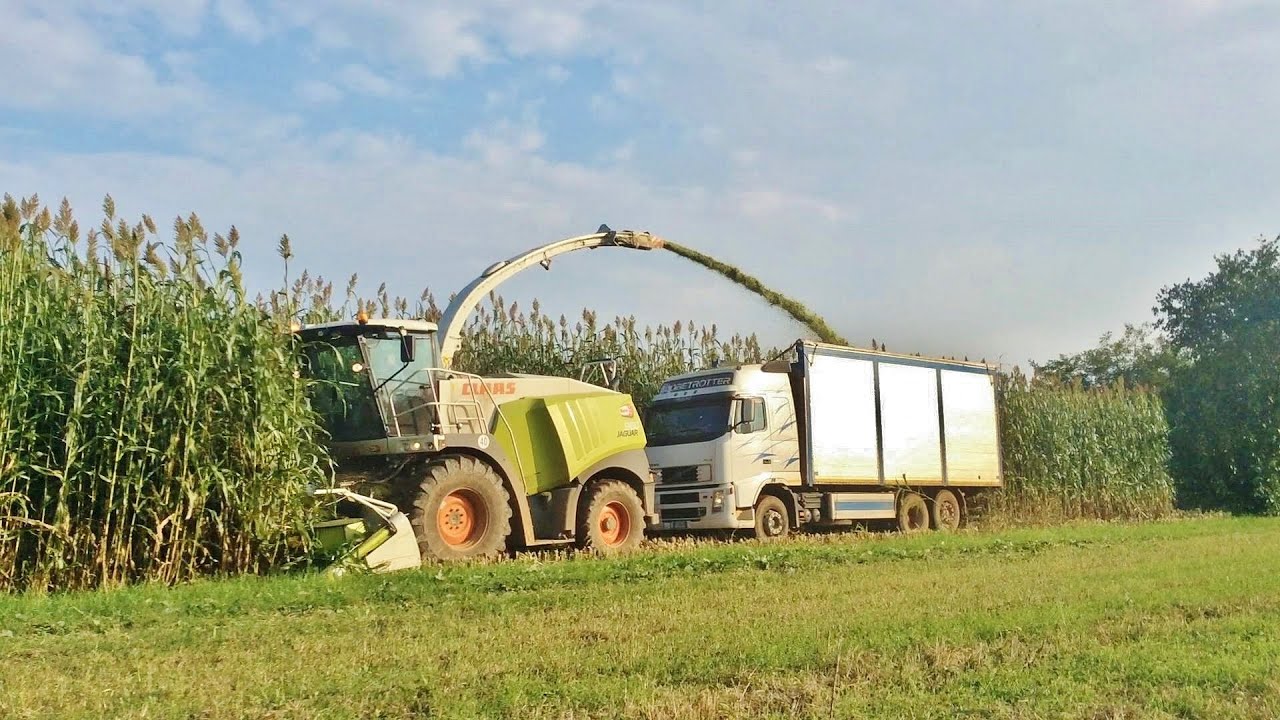Insilato Sorgo 2014 Claas Jaguar 960 + Orbis 600 + Volvo FH 12 + Fendt 916