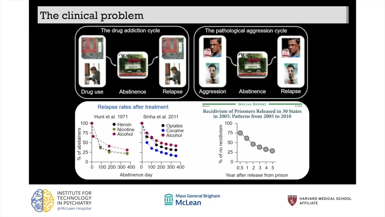 Development of Preclinical Open-Source Tools Bridging Behavior, Body and Brain