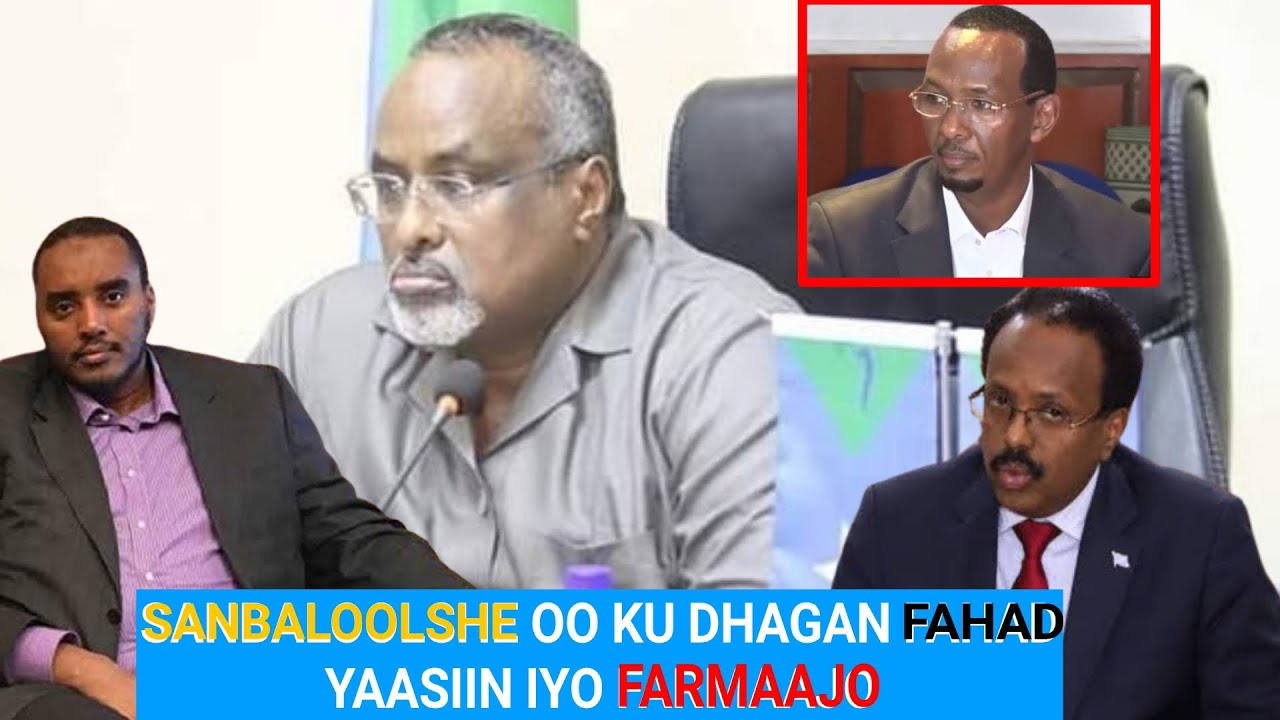 Sanbaloolshe:Mdxwyne Waare Waa Nin lug jiis ka ah tan Kale Ali Guudlaawe hayo, xoreyn ayuu ubahn yhy