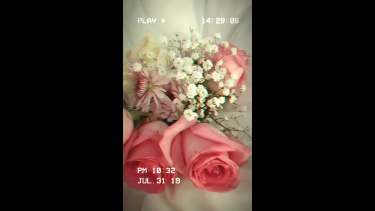 مقارنة للاستحقاق الأنثوي: بلقيس الراوي، الملكة رانيا، الليدي ديانا ومارلين مونرو💖