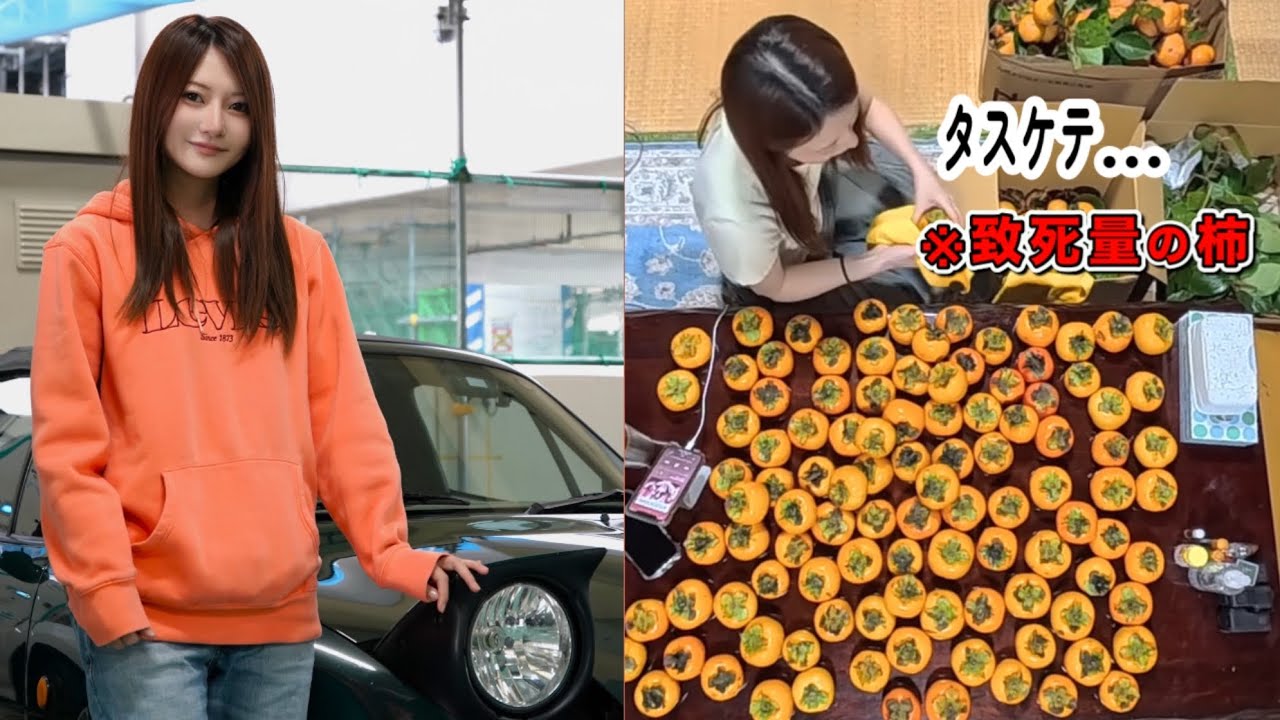 【緊急イベント】庭の柿の木に実が成りすぎた！ロドで配りまくるからもらってくれ～！！
