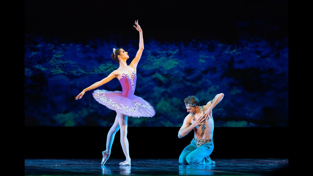 Le Corsaire. Maria Khoreva & Vladimir Shklyarov
