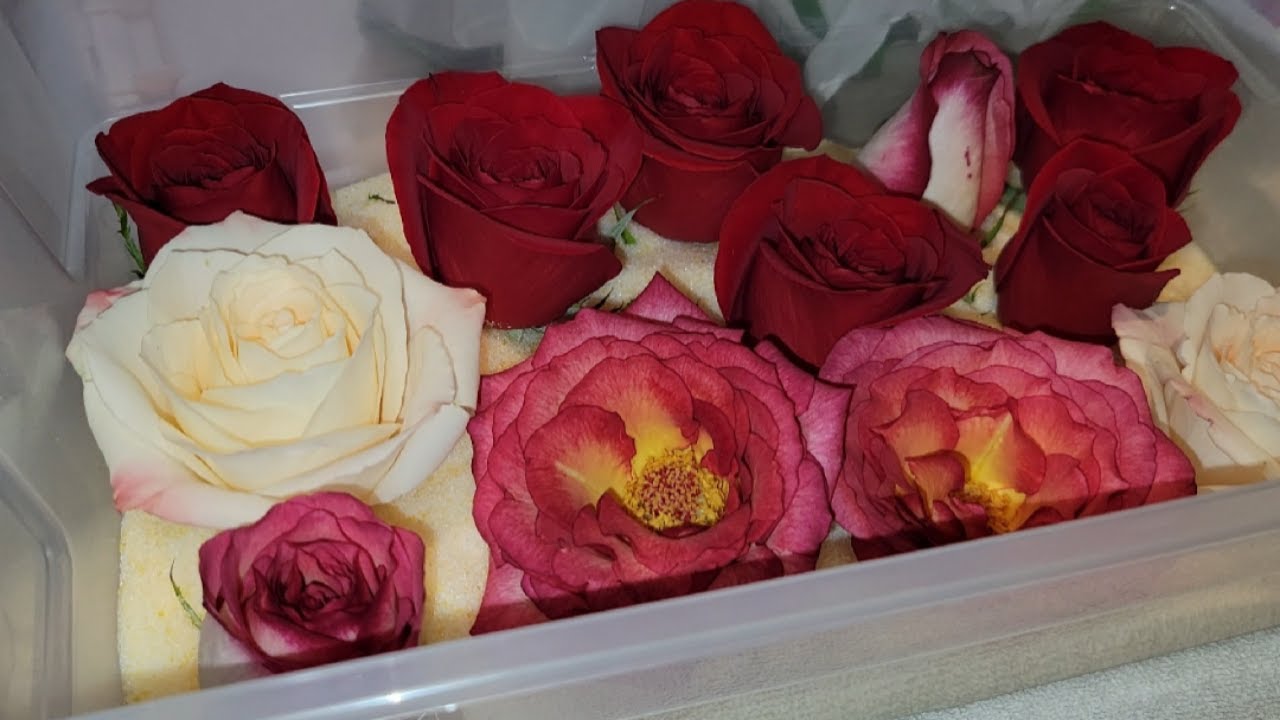Drying roses with silica gel crystals & Making a resin skull with a dried rose using liquid diamonds