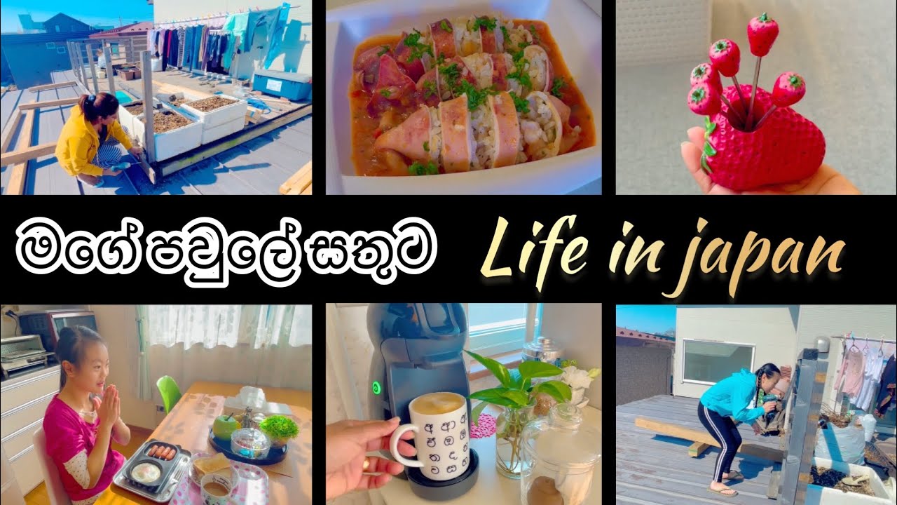 දැණුන සතුට 🌸| Meal prep ❤️| Life in japan 🇯🇵🇱🇰 සතුය පිරුණු දවසක් 💜❤️