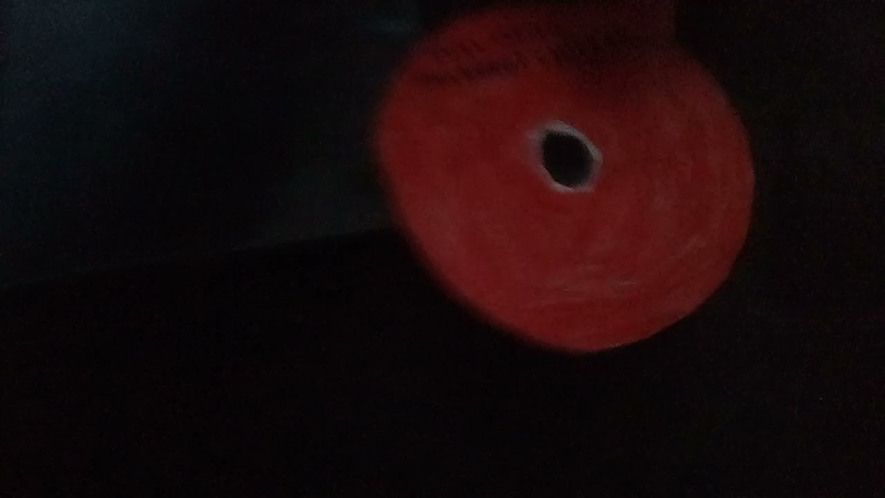 I Destroyed The Robot Chicken Movie 