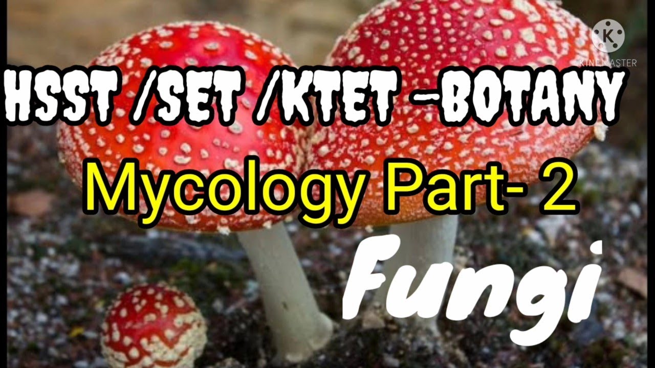 HSST/SET/KTET MYCOLOGY PART -2