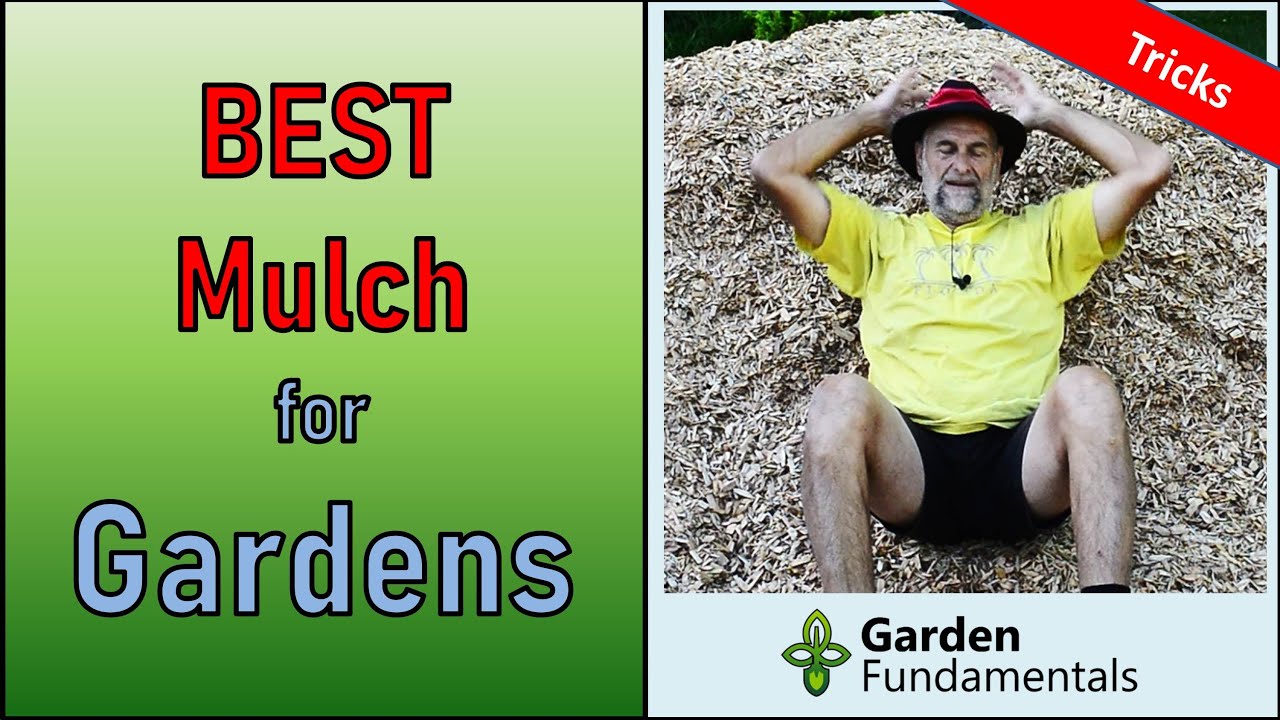 Best Mulch for Ornamental Gardens ♨️🌈🌎 Learn to mulch correctly and grow better plants