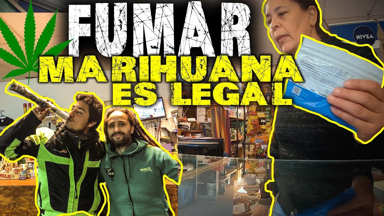 CONSEGU&Iacute; COMPRAR MARIHUANA Y ESTO PASO