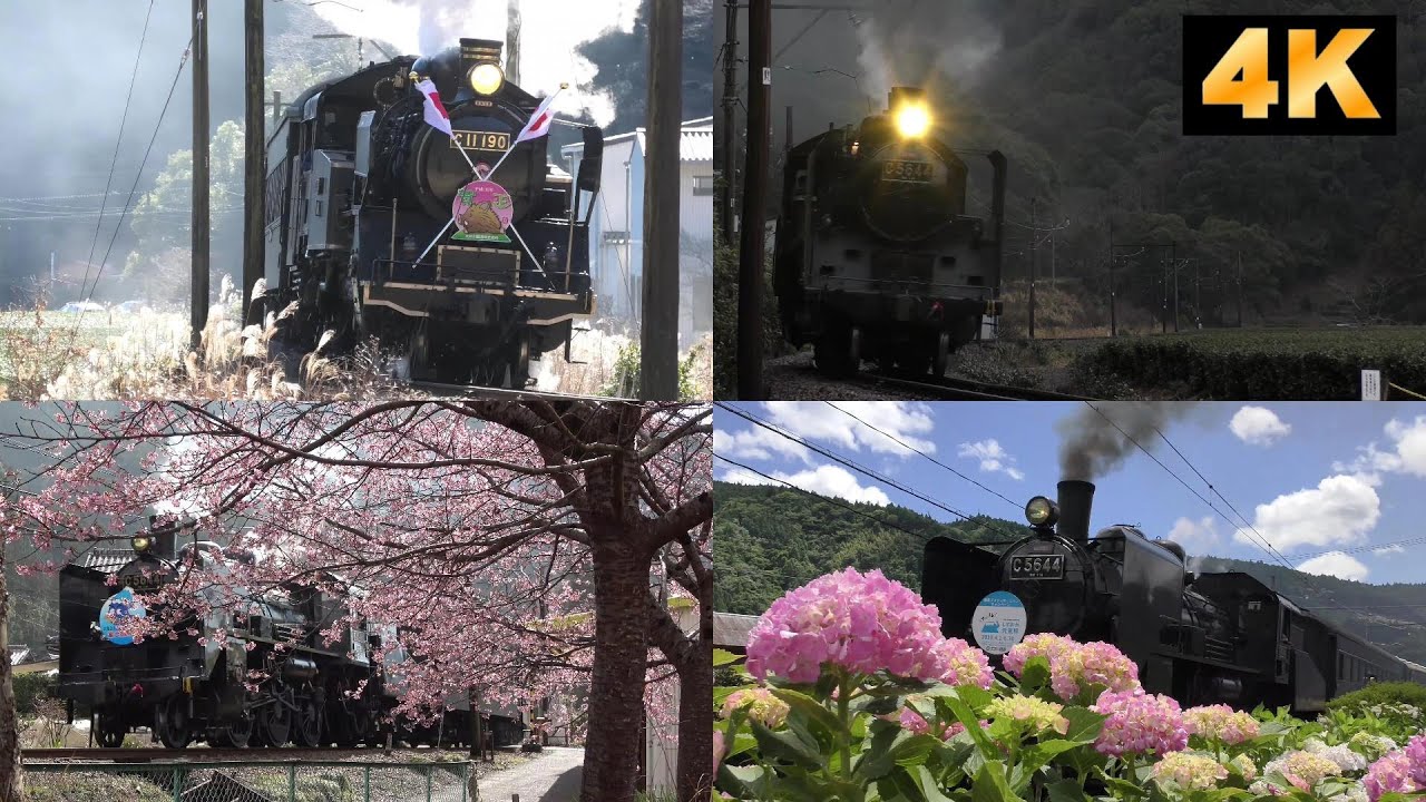 Oigawa-railway,Steam Locomotive,2019 omnibus./大井川鉄道 SL(蒸気機関車)2019年総集編