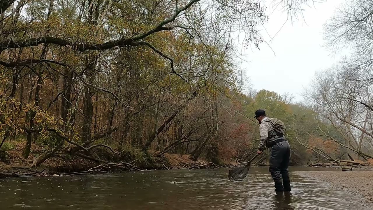 Fly fishing, Chattahoochee River delay harvest 2025 ￼