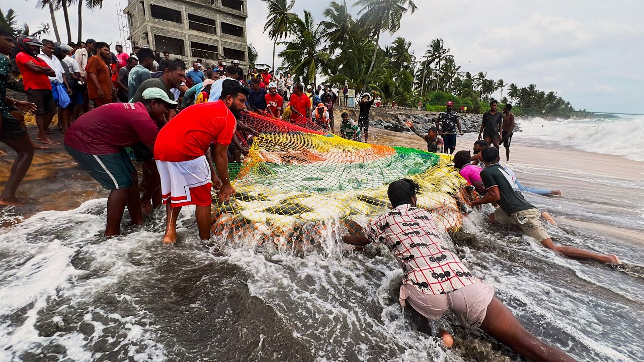 19,000Kg of Rare Trevally Caught in One Net! | Unbelievable Sri Lankan Fishing Harvest