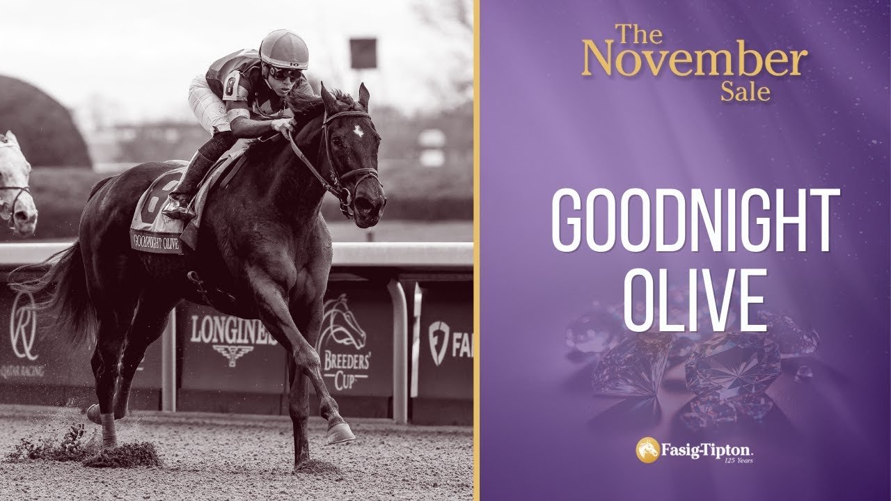 #FasigFeature: Goodnight Olive