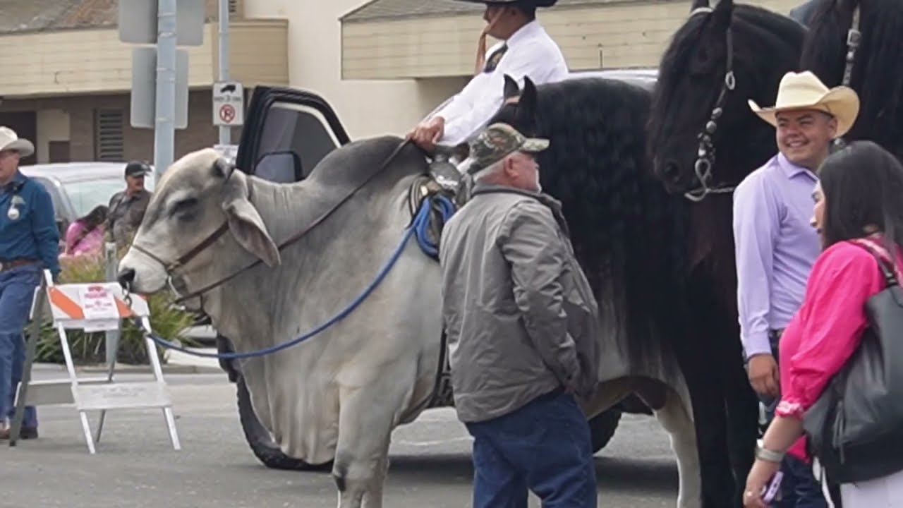 DESFILE DE CABALLOS 2024 EN SALINAS CALIFORNIA #salinas